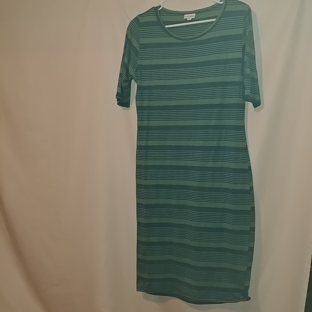 Large striped Julia
